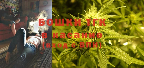 экстази Богданович