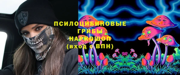 ГАЛЛЮЦИНОГЕННЫЕ ГРИБЫ Богородицк