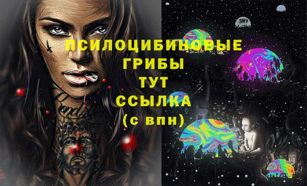 ГАЛЛЮЦИНОГЕННЫЕ ГРИБЫ Богородицк
