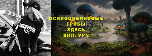 ГАЛЛЮЦИНОГЕННЫЕ ГРИБЫ Богородицк