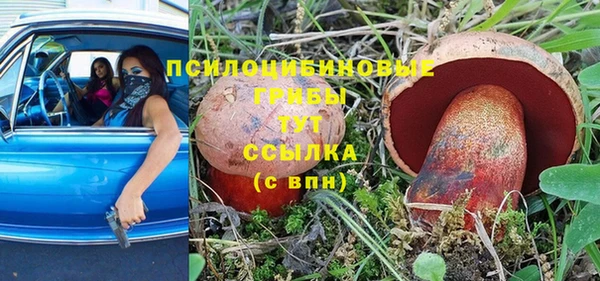 спайс Богородск