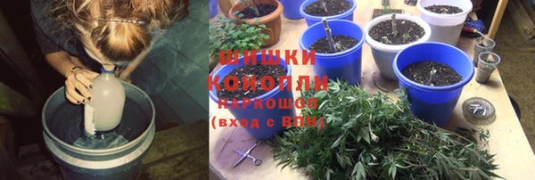 экстази Богданович