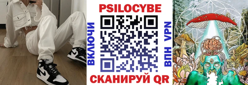 Купить закладки  Кубинка  Псилоцибиновые грибы мицелий 